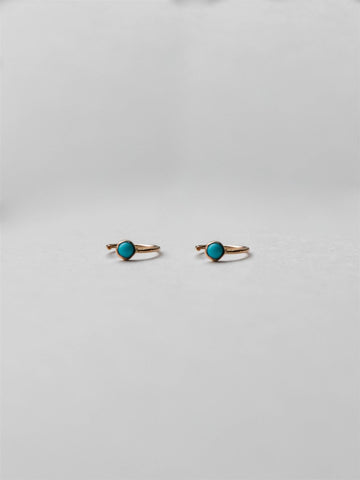 Sidney Turquoise Earring