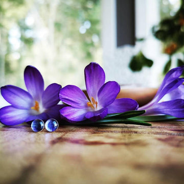 Sterling Silver Prairie Crocus Flower Earring