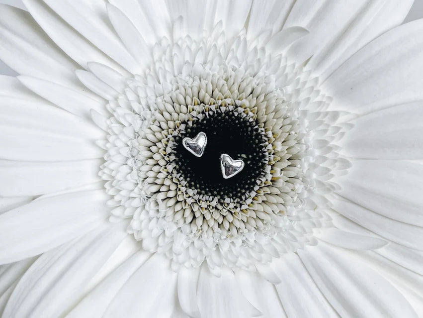 Heart Stud Earrings
