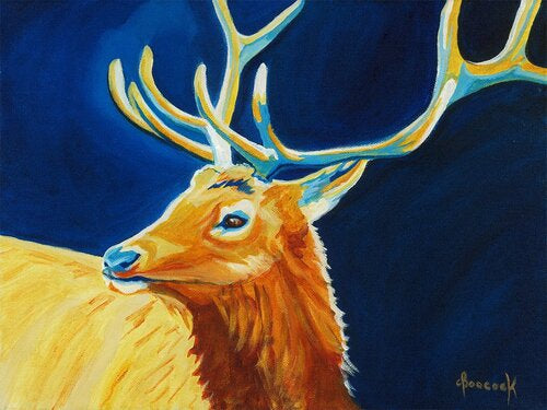 Midnight Elk Card