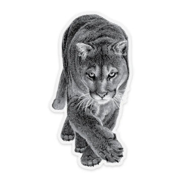 Cougar Sticker