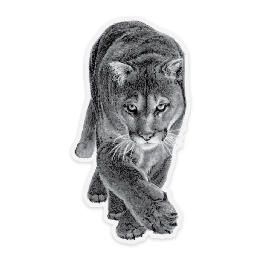 Cougar Sticker