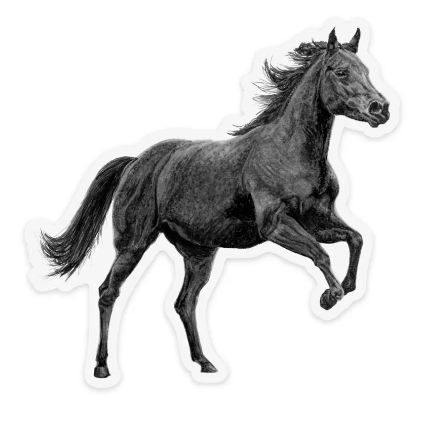 Horse Sticker