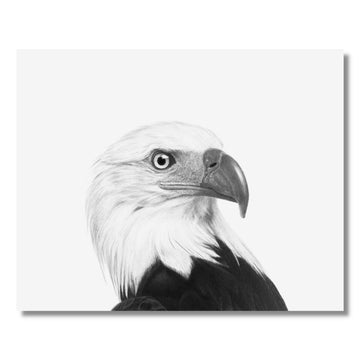 8x10 Eagle Print