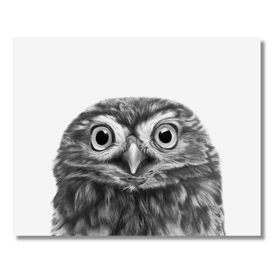 8x10 Owl Print