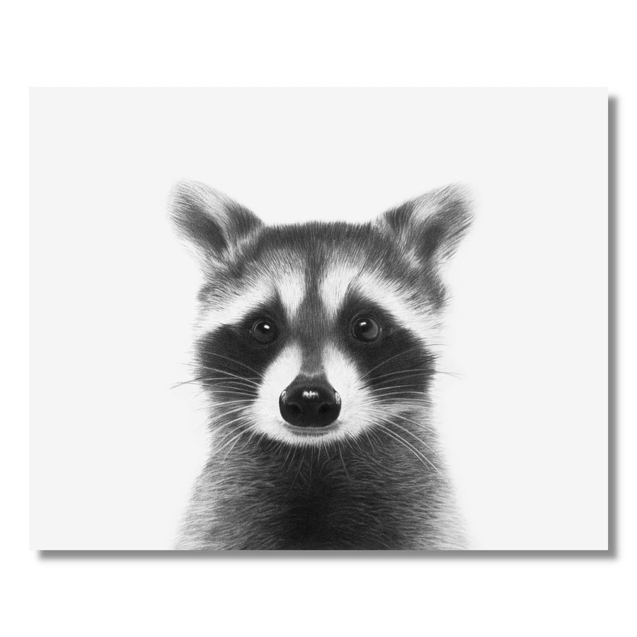 8x10 Raccoon Print
