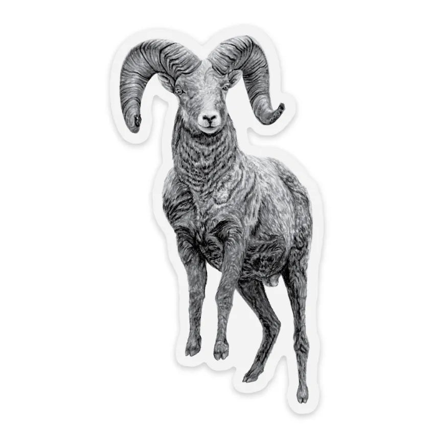 Ram Sticker