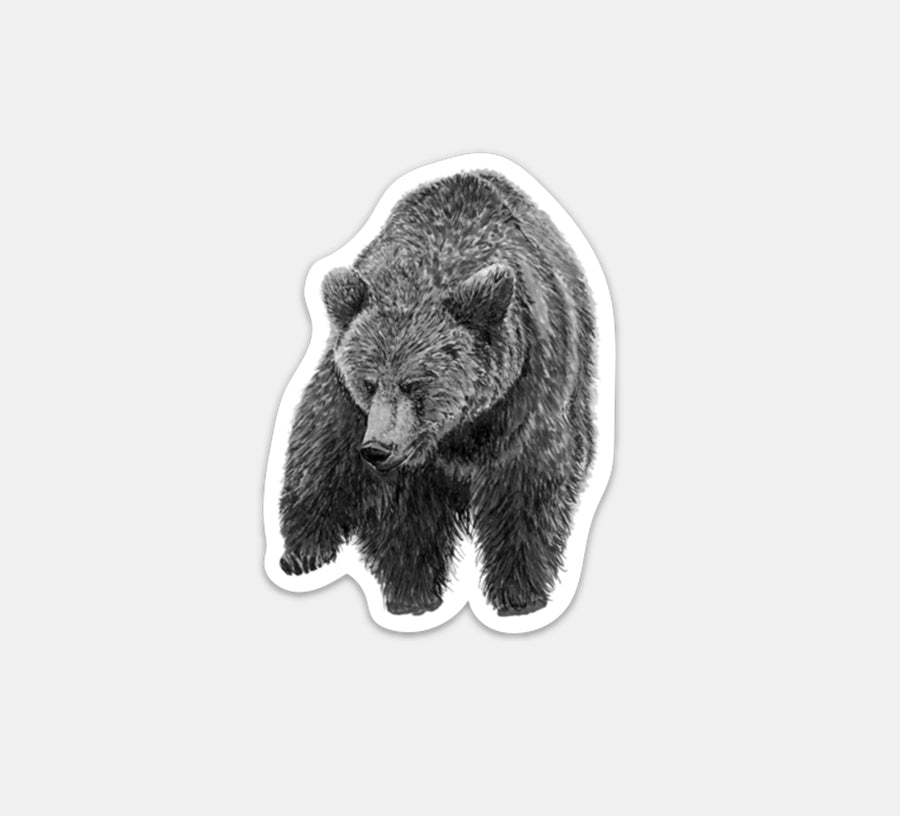 Bear Magnet
