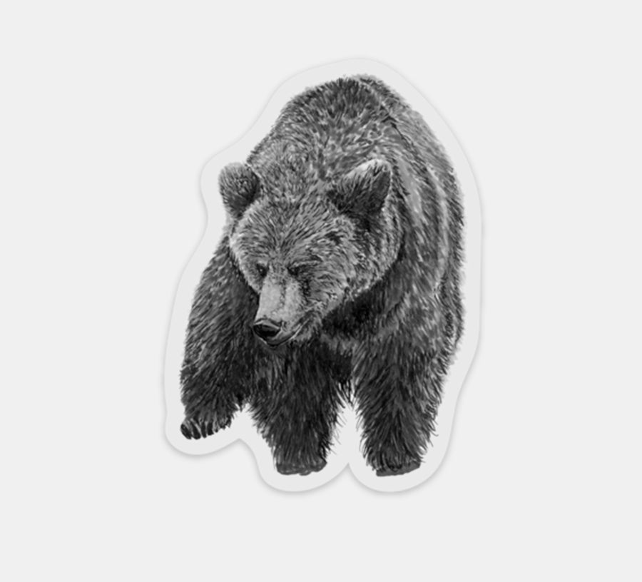 Bear Sticker
