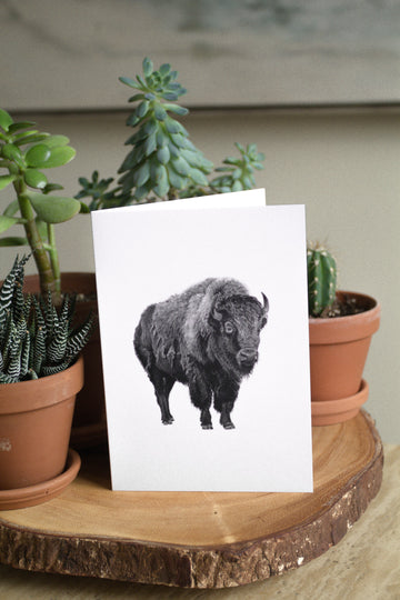 Bison Card