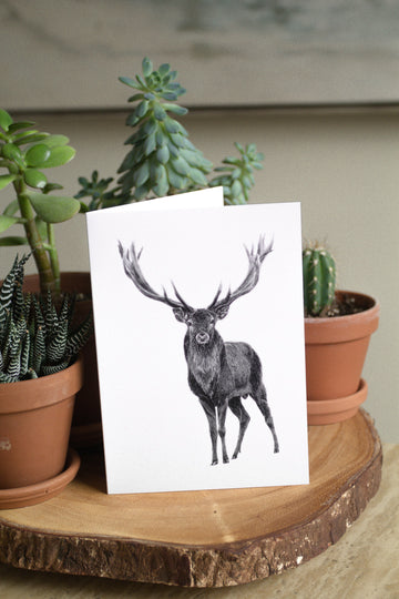 Elk Card