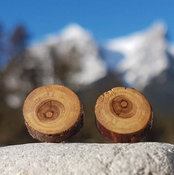 Wood Slice Earrings - Mountain Ash