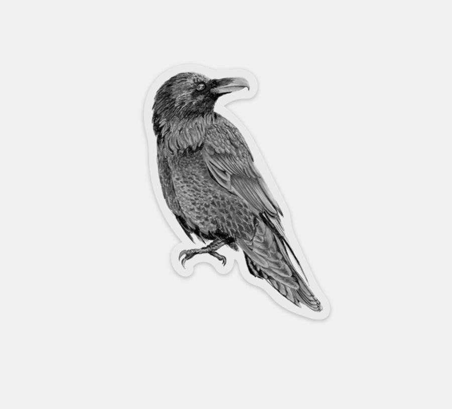 Raven Sticker