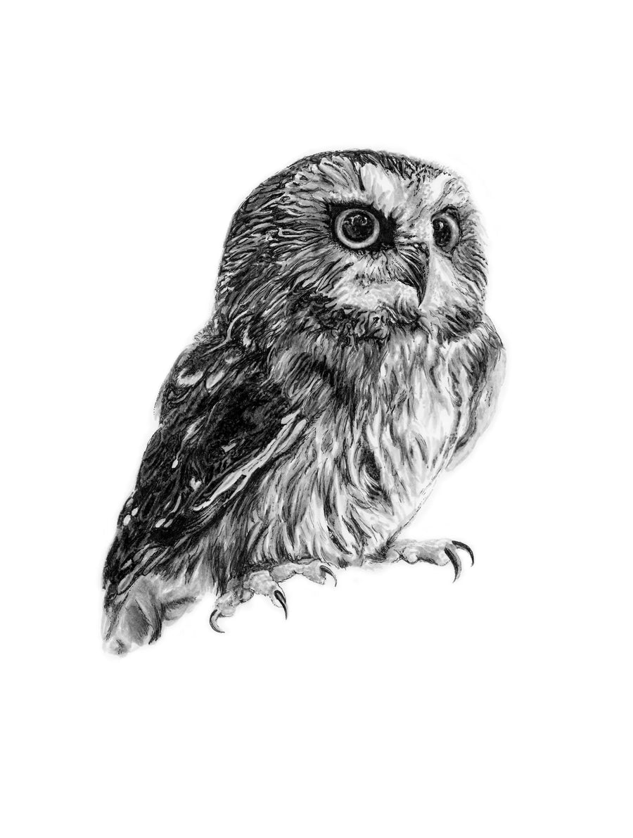 Owl Card
