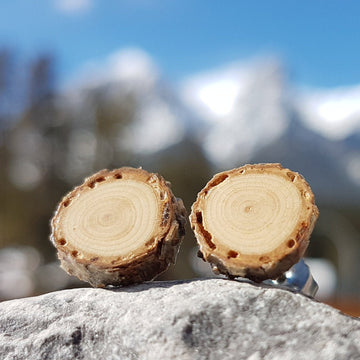 Wood Slice Earrings - Spruce