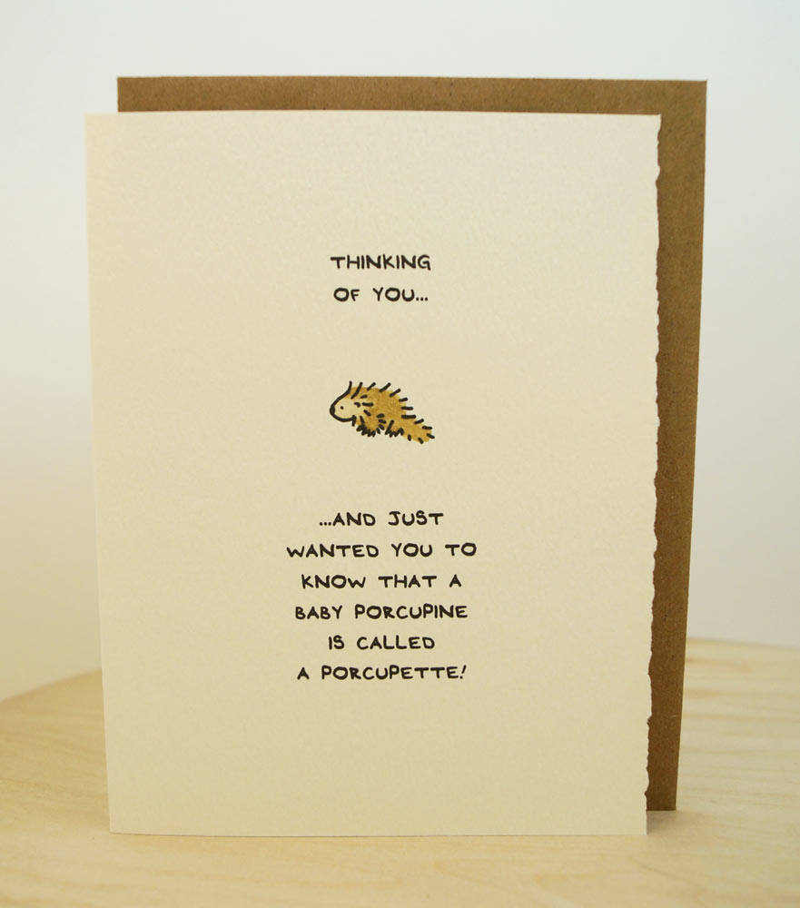 Thinking of you (porcupine) Card